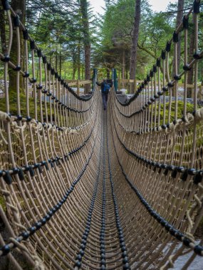 Yeşil ormandaki dağ nehri üzerindeki asma köprü