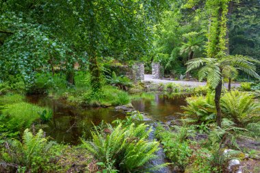 Güzel yeşil bahçedeki gölet