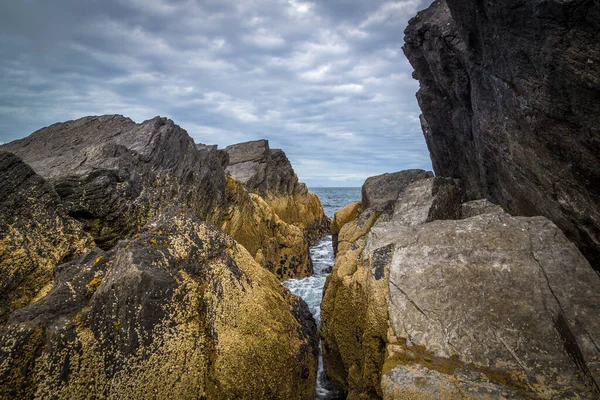Каменное Побережье Ирландии — стоковое фото