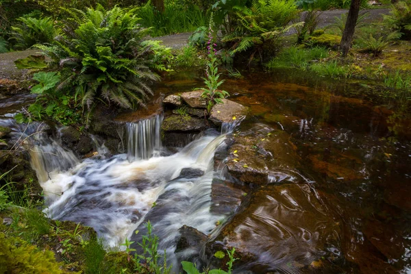 Vattenbäck Vacker Natur — Stockfoto