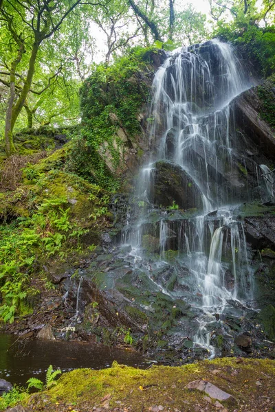 Vattenfall Trädgård Vid Ring Kerry Irland — Stockfoto