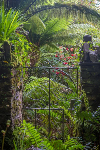 Hermoso Jardín Isla Garinish Glengarriff West Cork Irlanda — Foto de Stock