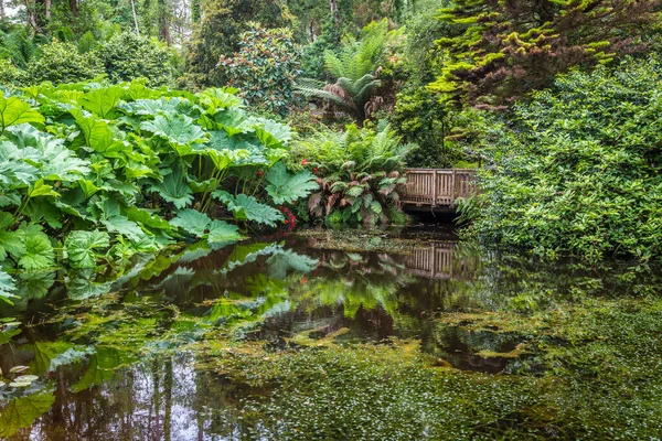Damm Vacker Grön Trädgård — Stockfoto