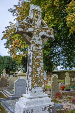 İrlanda 'nın en yüksek haçlı manastırı Co Lough, İrlanda