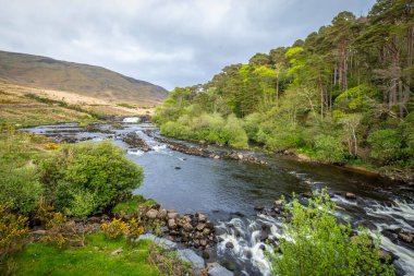 Aasleagh Şelalesi Killary Fjord, Co Mayo, İrlanda
