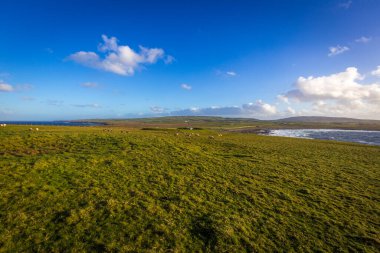 Downpatrick Head, Co Mayo, İrlanda 'daki muhteşem uçurum yürüyüşü