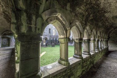 Moyne Manastırı Killala yakınlarında, Co Mayo, İrlanda