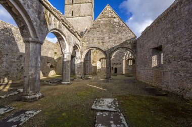 Moyne Manastırı Killala yakınlarında, Co Mayo, İrlanda