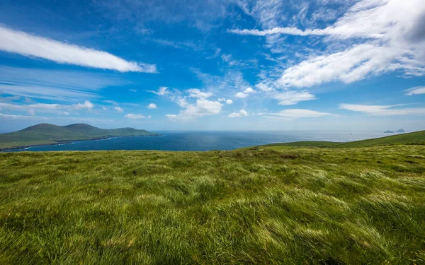アイルランドの美しい海洋ケリー クリフ — ストック写真