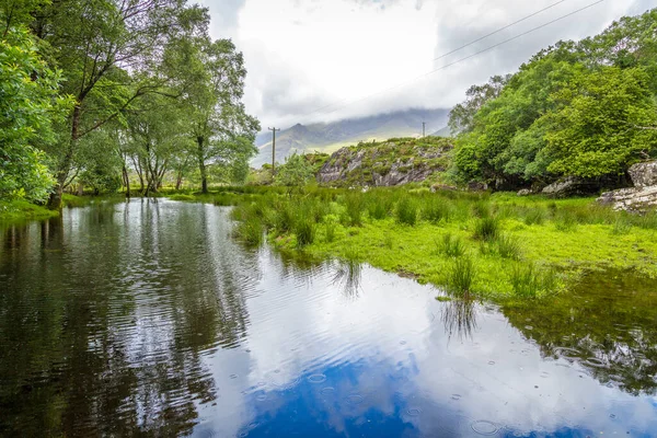 アイルランドのケリー郡にあるキラーニー国立公園 — ストック写真
