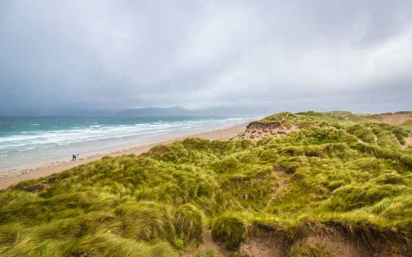 Rlanda Nın Kerry Ilçesindeki Rossbeigh Veya Rossbehy Plajı — Stok fotoğraf