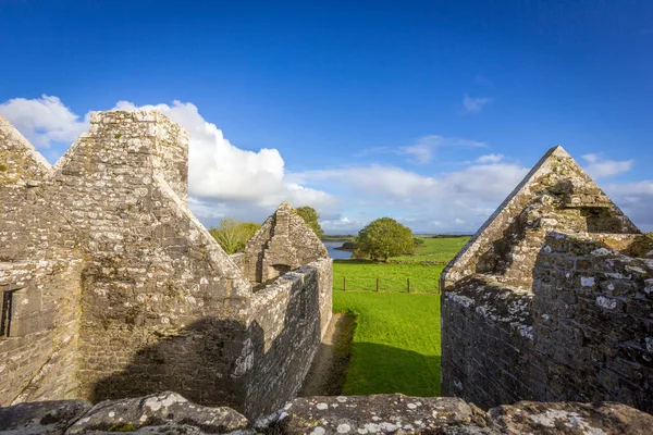 Abadía Moyne Cerca Killala Mayo Irlanda —  Fotos de Stock