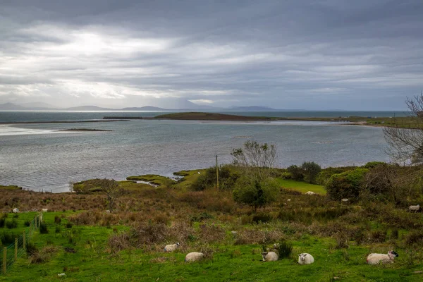 アイルランドのメイヨー州のクロウ湾とブラックソッド湾の間の島にある多くの海辺の村 — ストック写真