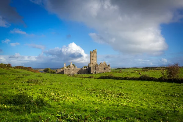 Moyne Abbey Κοντά Στην Killala Mayo Ιρλανδία — Φωτογραφία Αρχείου