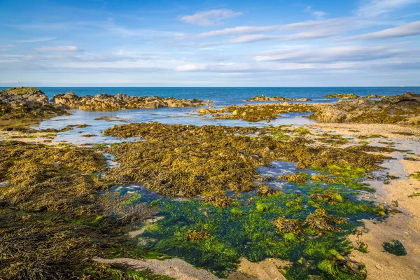 Vacker Klippig Havskust — Stockfoto