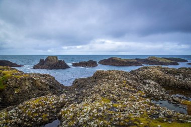 İrlanda 'nın Antrim ilçesindeki Ballintoy kasabası, kasabası ve sivil cemaati