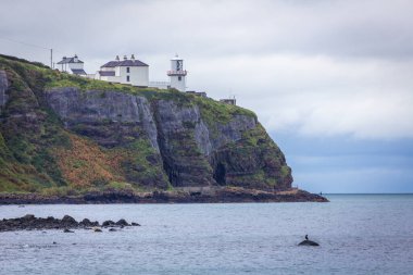 İrlanda 'nın Antrim ilçesinde Whitehead yakınlarında Blackhead Deniz Feneri