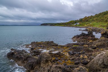 İrlanda 'daki karasahu uçurumu