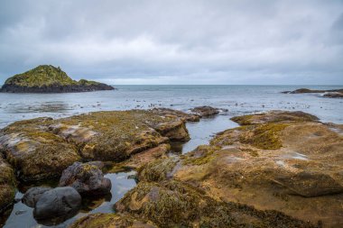 İrlanda 'nın Antrim ilçesindeki Murlough Körfezi