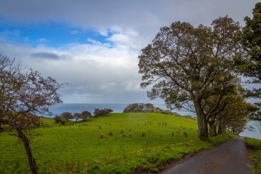 İrlanda 'nın Antrim ilçesindeki Murlough Körfezi