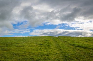 Yeşil Çimen ve Mavi Gökyüzü
