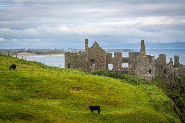 Dunluce Kastély Most Tönkretett Középkori Vár Észak Írországban — Stock Fotó