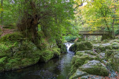 Güzel Tollymore Orman Parkı 'ndaki Shimna Nehri, Newcastle, Kuzey İrlanda 