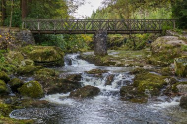 Güzel Tollymore Orman Parkı, Newcastle, Kuzey İrlanda 