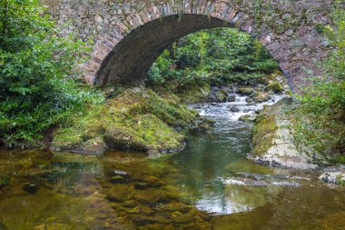 Parnells İrlanda 'da nehir üzerinde taş köprü