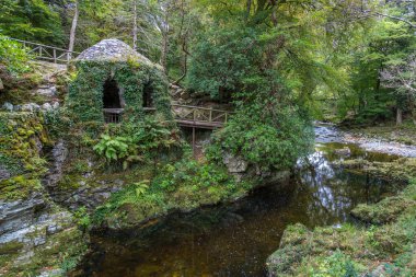 Güzel Tollymore Orman Parkı, Newcastle, Kuzey İrlanda    