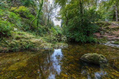 Güzel Tollymore Orman Parkı 'ndaki Shimna Nehri, Newcastle, Kuzey İrlanda 