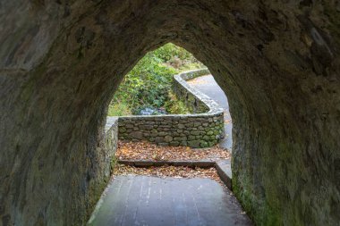 Güzel Tollymore Orman Parkı, Newcastle, Kuzey İrlanda     