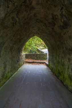 Güzel Tollymore Orman Parkı, Newcastle, Kuzey İrlanda    