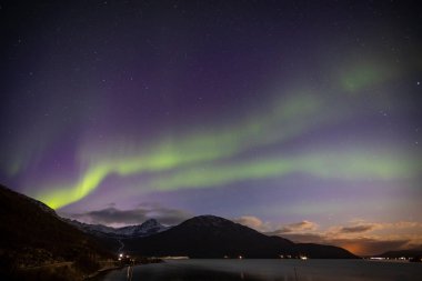 Kuzey Norveç, Lakselvbukt üzerinden Aurora Borealis 'ten ışınla
