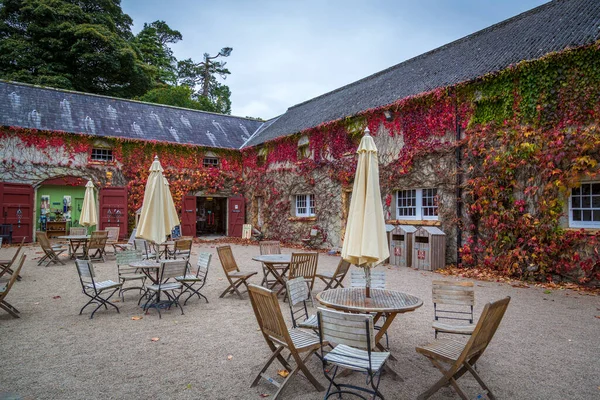 Nice Tearoom Castle Ward Downpatrick Irlanda Del Norte — Foto de Stock