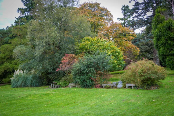 Prachtig Tollymore Forest Park Newcastle Noord Ierland — Stockfoto