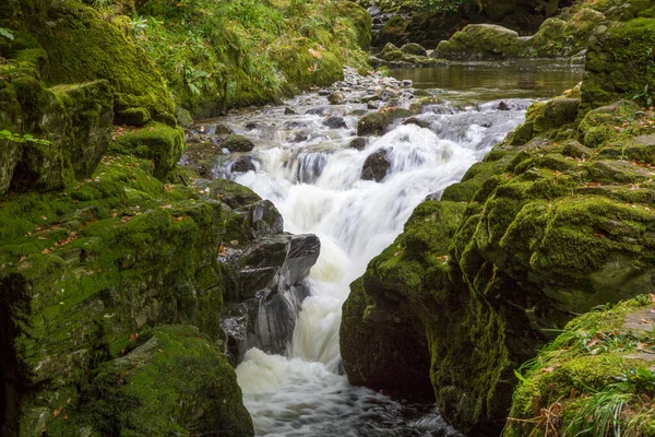 Río Shimna Hermoso Tollymore Forest Park Newcastle Irlanda Del Norte —  Fotos de Stock