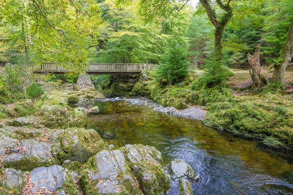 Rivière Shimna Dans Magnifique Parc Forestier Tollymore Newcastle Irlande Nord — Photo