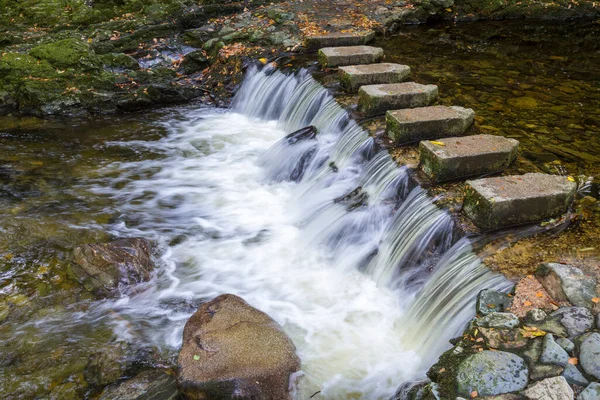 Güzel Tollymore Orman Parkı, Newcastle, Kuzey İrlanda 'da merdiven taşları 