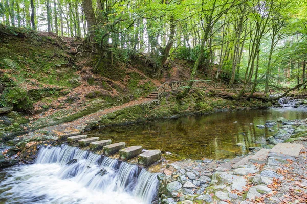 Beautiful Tollymore Forest Park Newcastle Irlande Nord — Photo