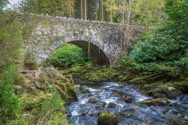 Pont Pierre Parnells Sur Rivière Irlande — Photo