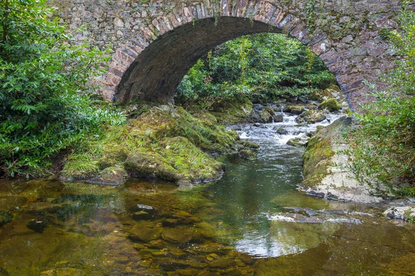 Pont Pierre Parnells Sur Rivière Irlande — Photo