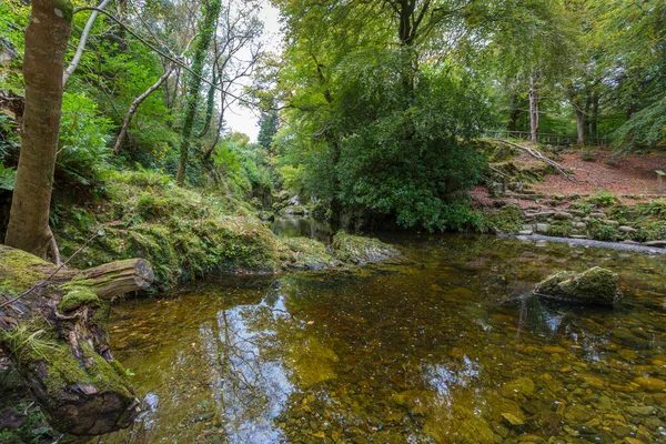 Shimna Flod Vackra Tollymore Forest Park Newcastle Nordirland — Stockfoto