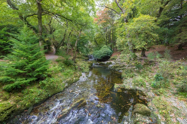 Shimna River Beautiful Tollymore Forest Park Newcastle Irlanda Norte — Fotografia de Stock