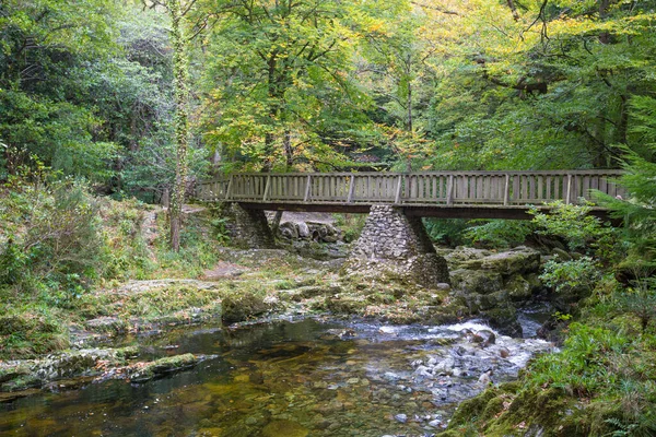 Vieux Pont Pierre Sur Rivière Shimna — Photo