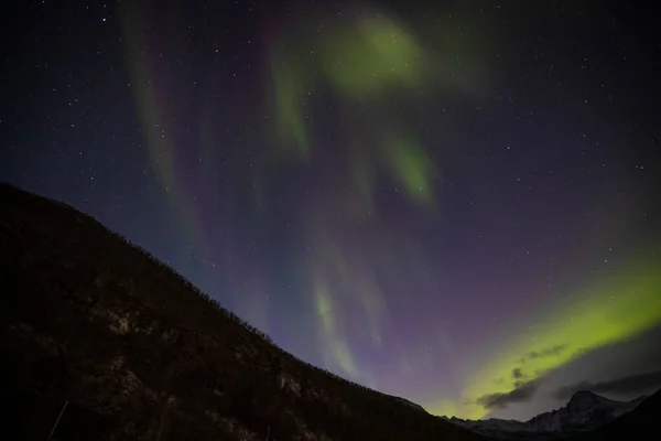 Straal Van Aurora Borealis Lakselvbukt Noord Noorwegen — Stockfoto