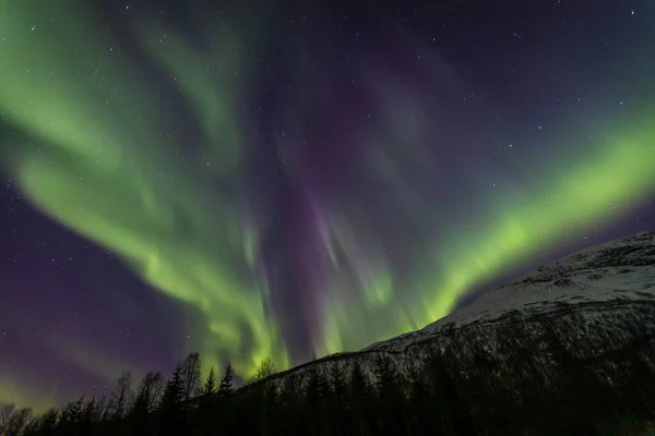 Promień Aurora Borealis Nad Lakselvbukt Północnej Norwegii — Zdjęcie stockowe