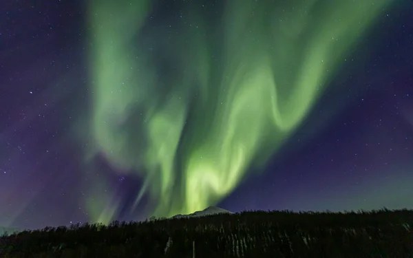 Feixe Aurora Borealis Sobre Lakselvbukt Noruega Norte — Fotografia de Stock