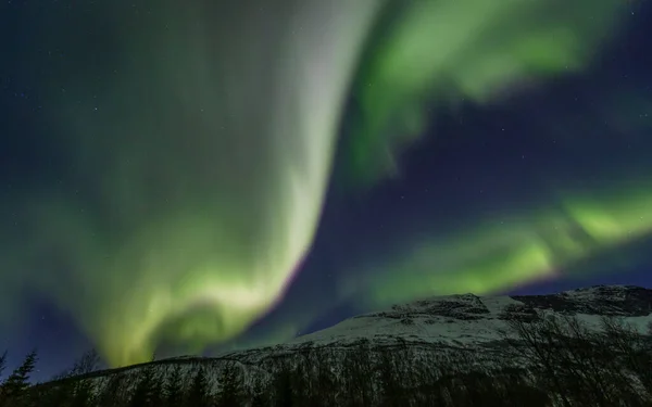 Paprsek Aurora Borealis Nad Lakselvbukt Severní Norsko — Stock fotografie