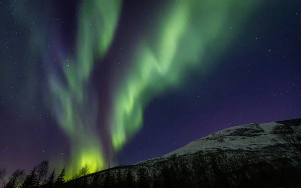 Beam Aurora Borealis Lakselvbukt Βόρεια Νορβηγία — Φωτογραφία Αρχείου